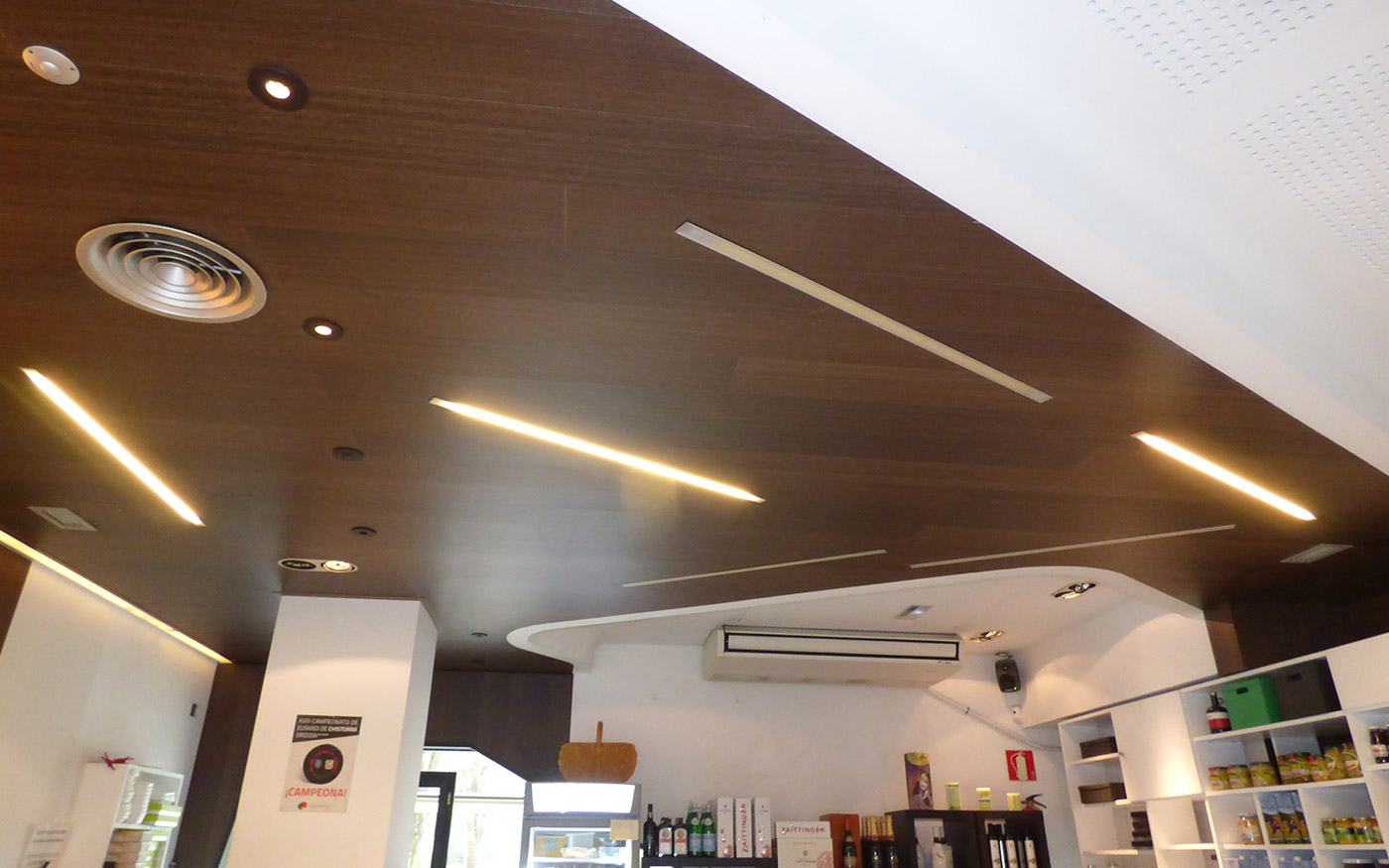 Foto reforma laminado techo